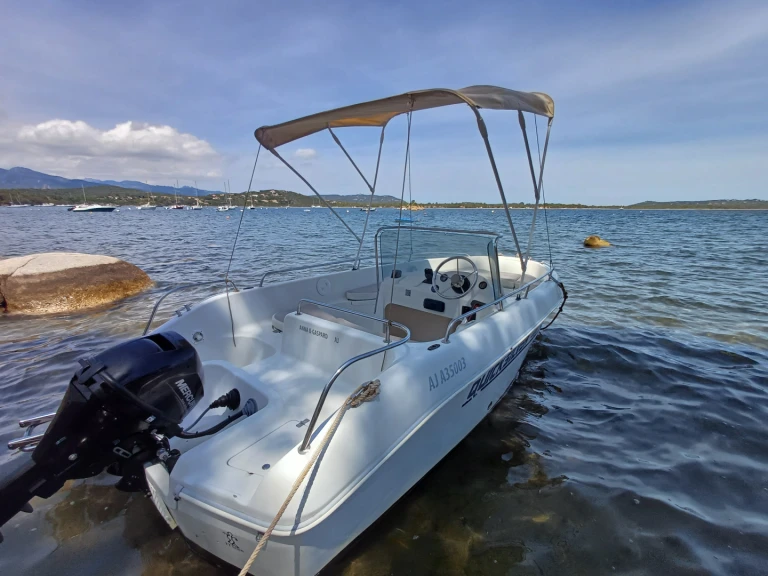Hire Motorboat Quicksilver with a boat licence