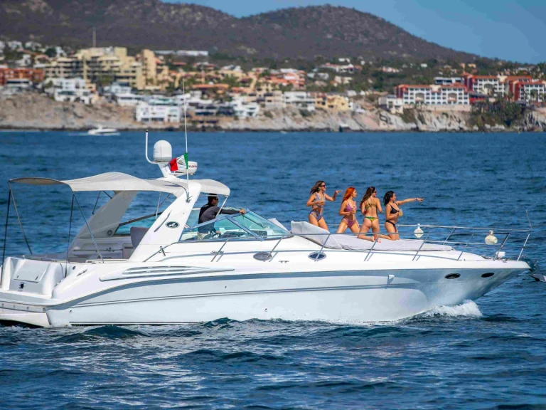 Motorboat hire in Cabo San Lucas - Sea Ray Sea Ray 420 Sundancer