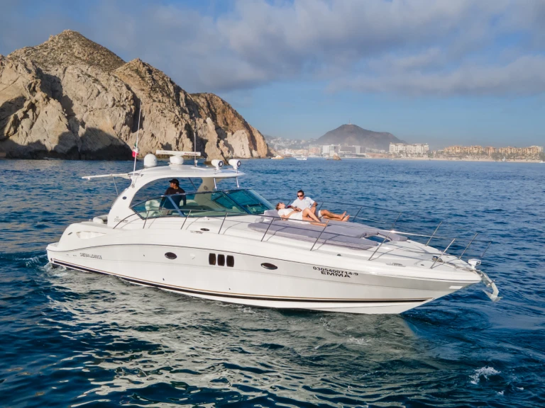 Hire Motorboat Sea Ray with a boat licence