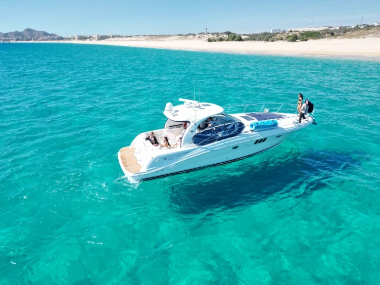 Yacht charter Cabo San Lucas - Sea Ray Sea Ray 455 Sundancer on SamBoat