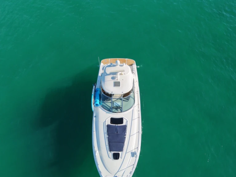 Sea Ray Sea Ray 455 Sundancer charter bareboat or skippered in  Cabo San Lucas