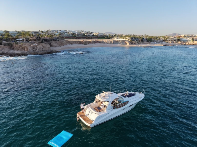 Motorboat hire in Cabo San Lucas - Sea Ray Sea Ray 455 Sundancer