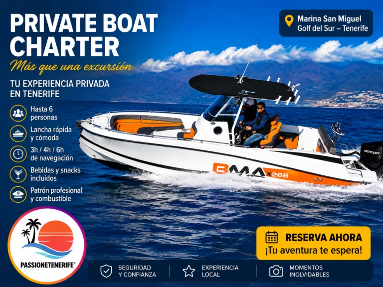 Hire Motorboat BMA with a boat licence