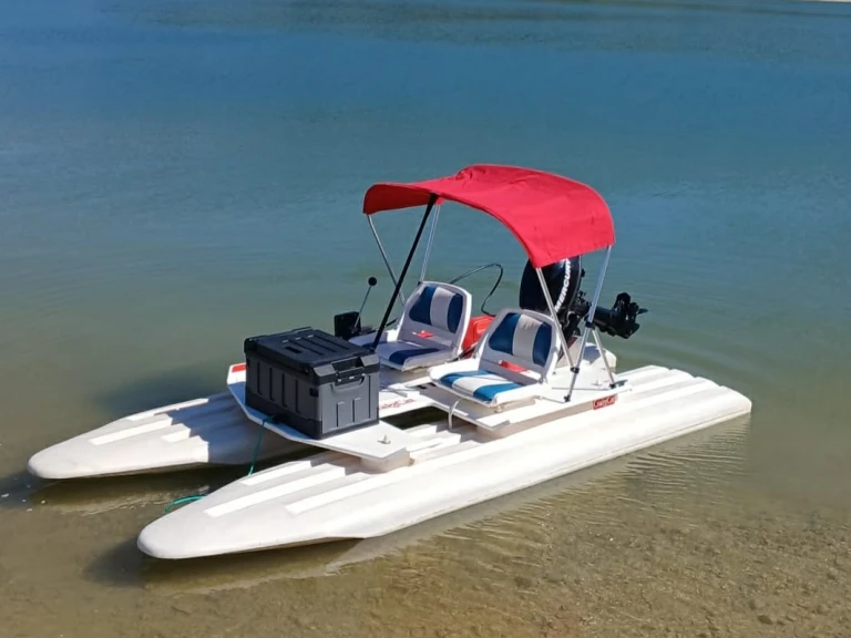 Charter a Craig Cat E2 ELITE in Pont-de-Poitte on Samboat