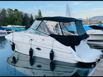 Motorboat to hire Geneva (City) at the best price
