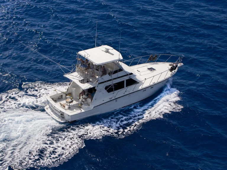 Charter a Custom Made custom in Puerto Rico on Samboat