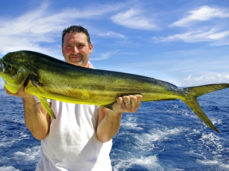 Yacht charter Puerto Rico - Custom Made custom on SamBoat