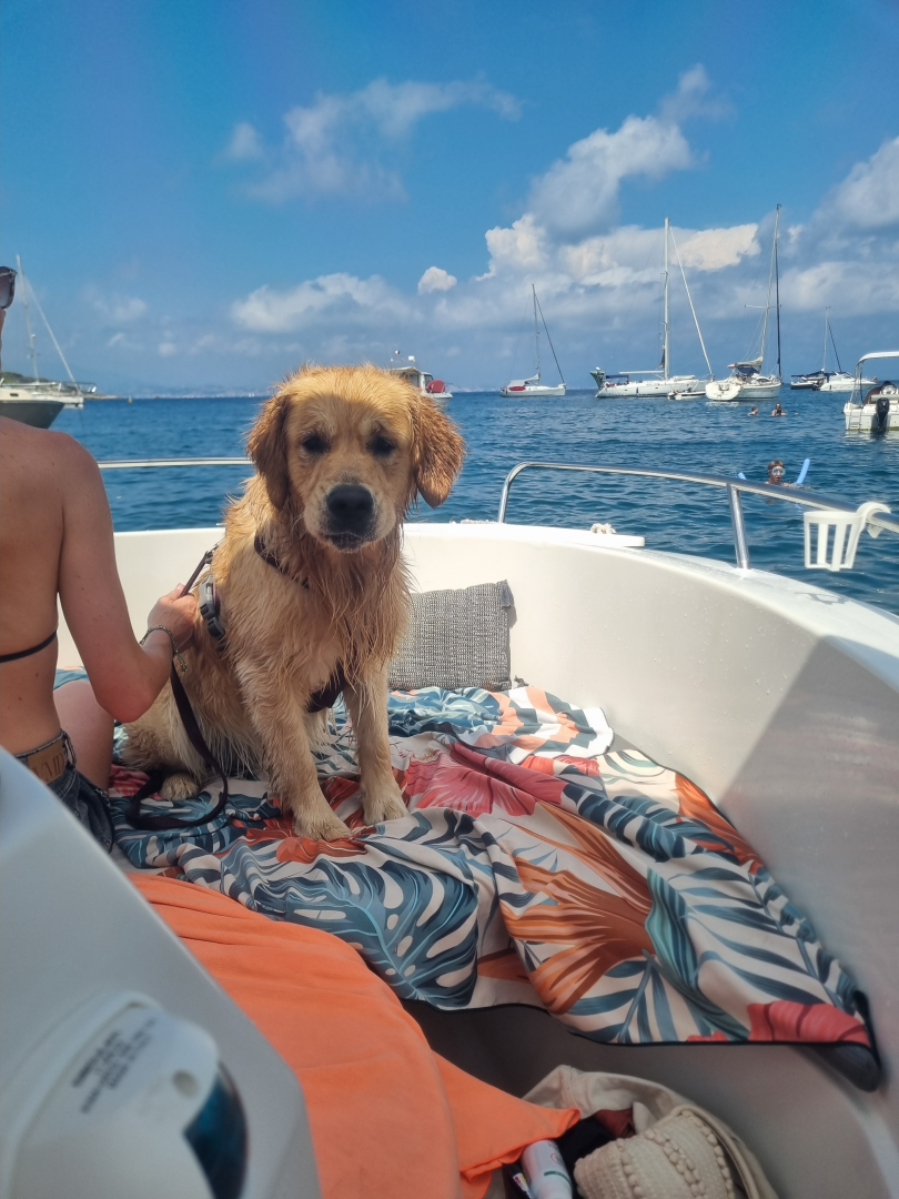 Pacific Craft Pacific Craft 545 Open charter bareboat or skippered in  Saint-Laurent-du-Var