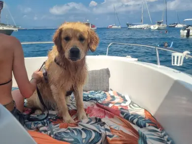Pacific Craft Pacific Craft 545 Open charter bareboat or skippered in  Saint-Laurent-du-Var
