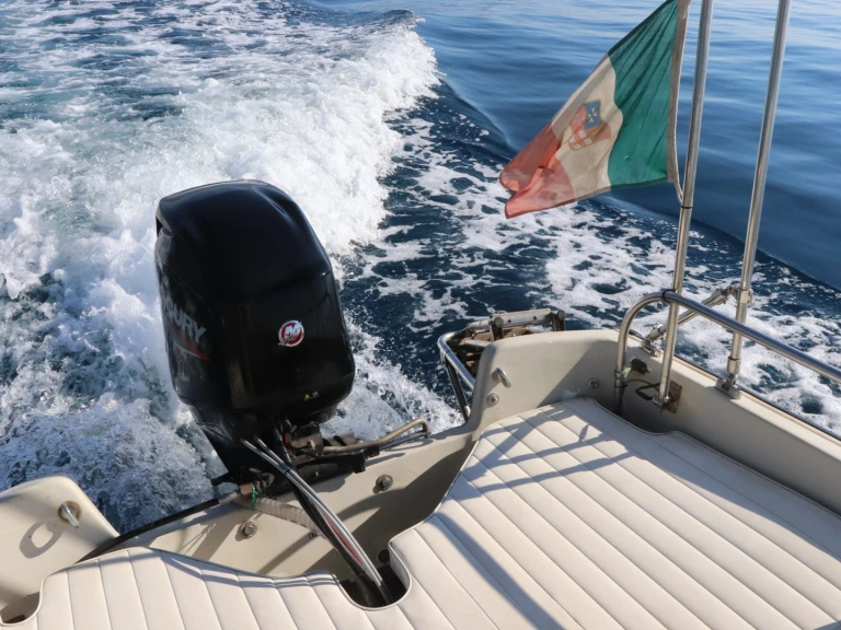 Hire Motorboat Boston Whaler with a boat licence