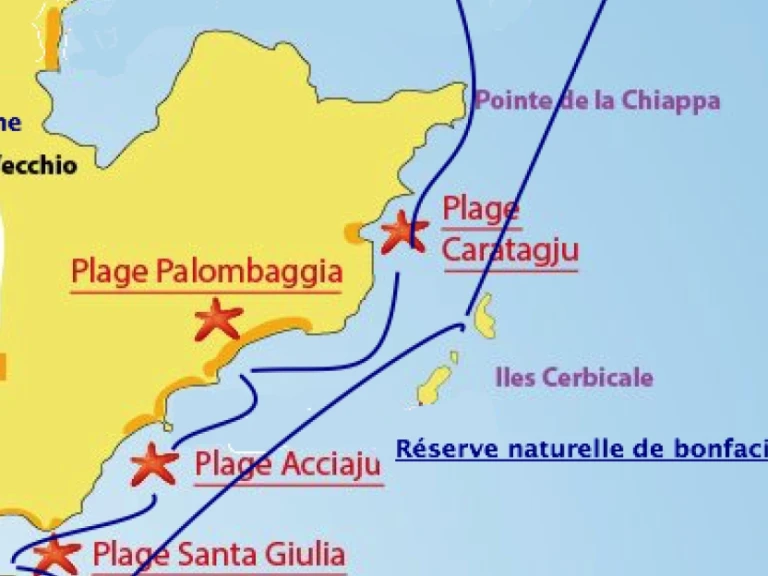 Hire a Motonautica-Vesuviana MV 700 Porto-Vecchio