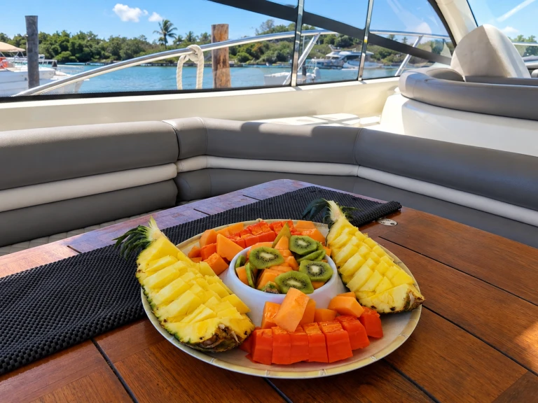 Motorboat to hire Cancún at the best price
