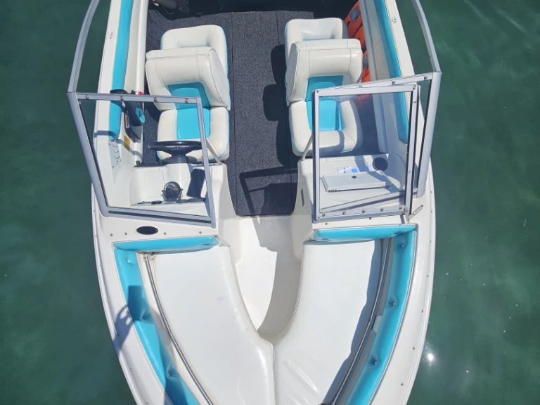 Hire Motorboat with or without skipper Larson Annecy