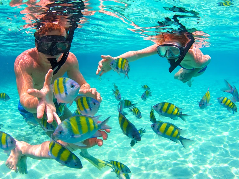 Motorboat hire in Cartagena - Custom Made custom