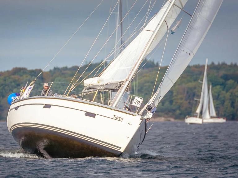 Charter a Bavaria Cruiser 37 in Flensburg on Samboat