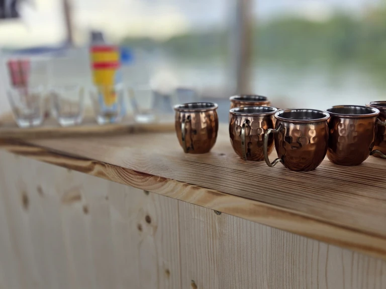 Hire Motorboat with or without skipper Custom Berlin