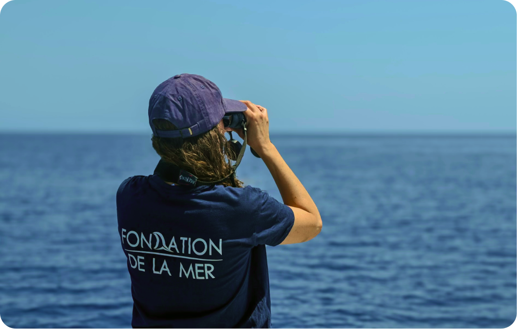 Fondation de la Mer